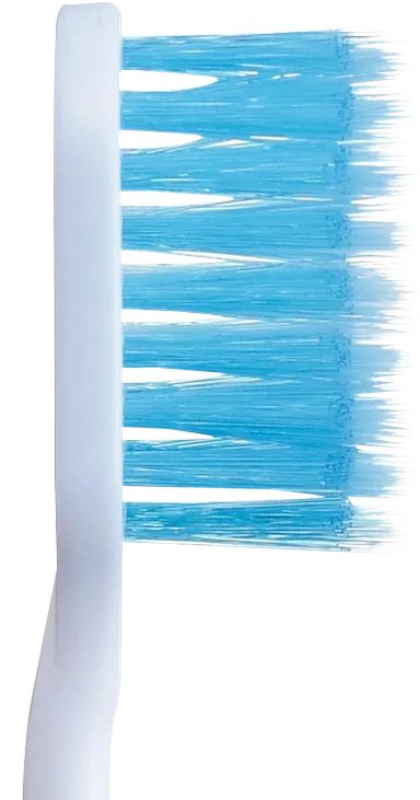 付替システマ極上プレミアム側面