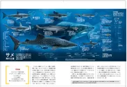 『真説・サメ　謎に満ちたすごい生態』中面