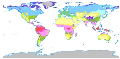 ケッペンの気候区分図