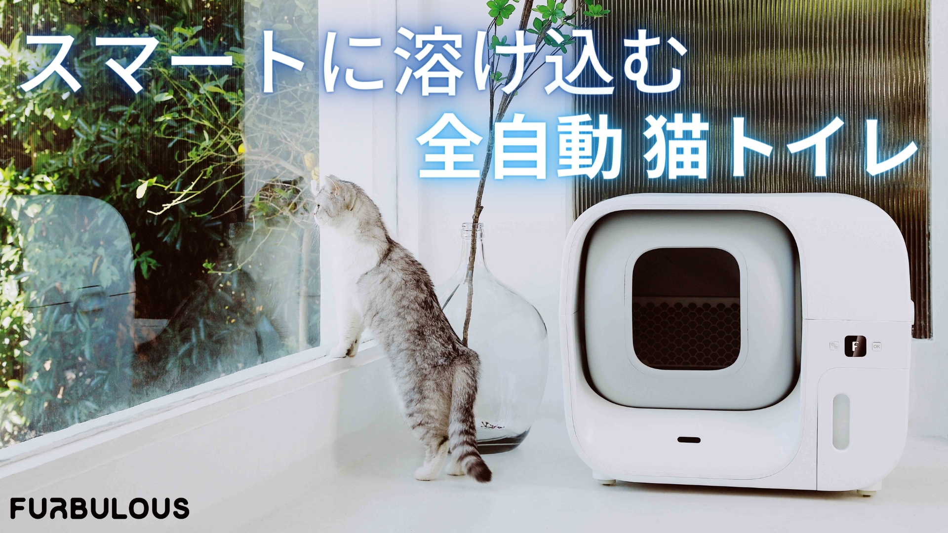 全く触れずに排泄物が処理できる「アタラシイ自動猫トイレ」 Makuake