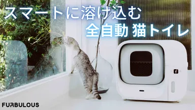 全自動スマート猫トイレ「Furbulous Box」