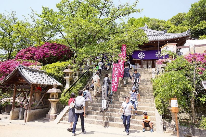 元禄時代から約300年の歴史を誇る伝統行事
「のざきまいり」5/1（月）～8（月）開催決定 