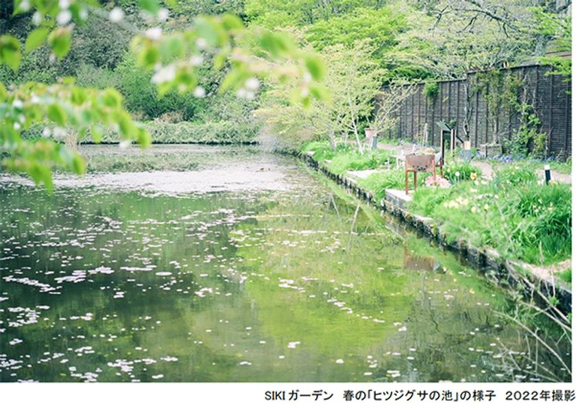 ROKKO森の音ミュージアム エリア内
春のSIKIガーデンが見頃です