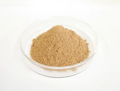 生分解性バイオ素材 ReFEZER