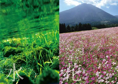 小林市の「水」と「花」