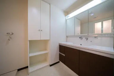 鏡面収納付き大型洗面台