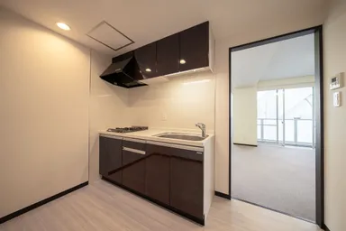 ガス2口システムキッチン