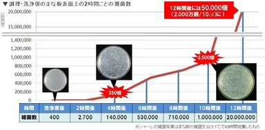 まな板の雑菌増殖