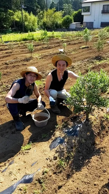 植え込みの様子