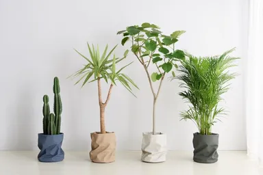 暮らしゾーン(KOTERA)