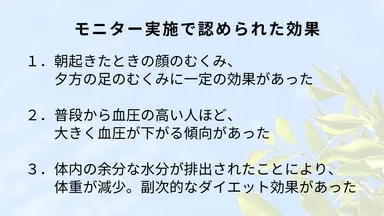 モニター実施の効果