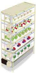 RGB独立調光型LED植物栽培装置「AGRI-Oh！(アグリ王)シリーズ」