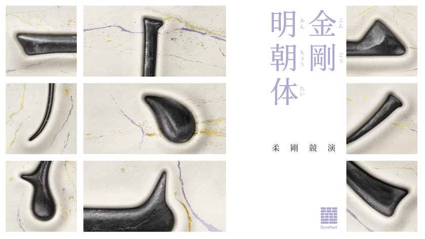 ※価格相談可 DynaFont 中国語 52書体 ダイナフォント 韓国語 希少品 DynaFont 中国語88書体 TrueType Hybrid 20周年感謝版
