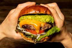 アボカドチーズバーガー