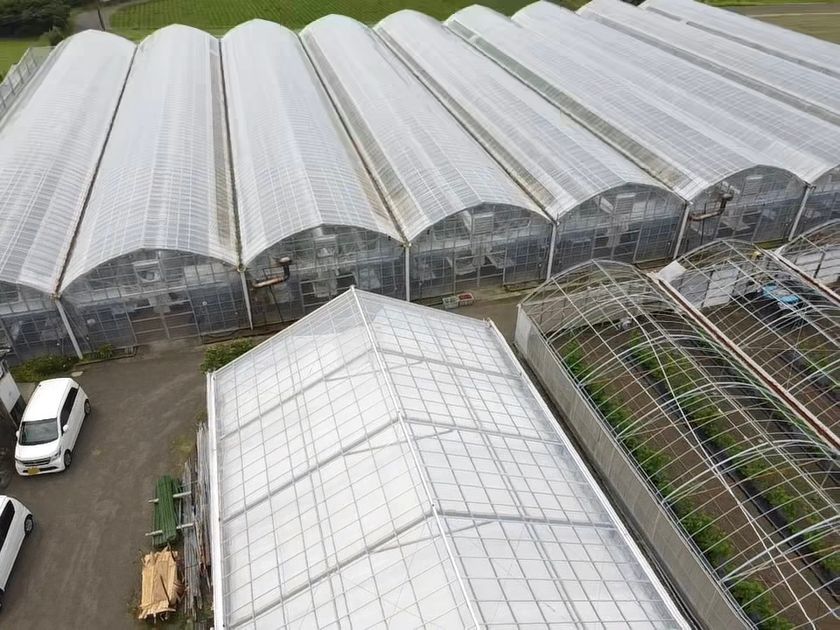 鹿児島のMATSUKI GARDENING、クラファン800％超達成の
完熟アイコトマトジャムの追加販売を開始！