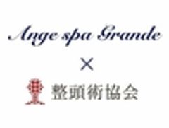 株式会社日本整頭術協会のロゴ