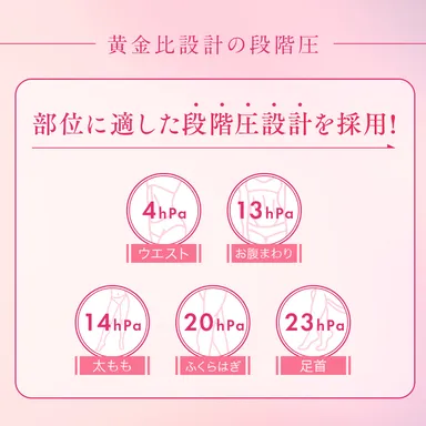 黄金比設計の段階圧