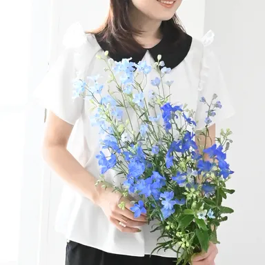 新作バイカラークリオネフリルブラウス