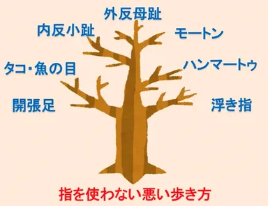 当協会のメソッドによる改善症状
