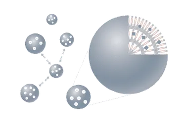 ビューティ・コア・ロケット(BCR)(TM)