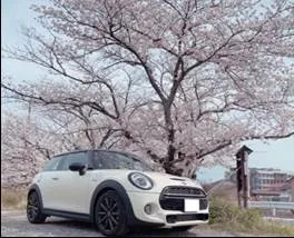 【従業員はSANYO NORERUを利用して日を楽しむことができる】