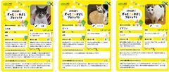 プロフィールカード