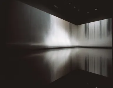 「The Fall」過去の展示風景