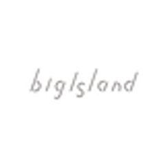 株式会社Big Islandのロゴ