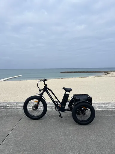 Aoi-Trike4