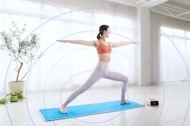 DENBA Health  stretch mat1