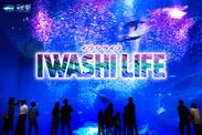 IWASHI LIFE