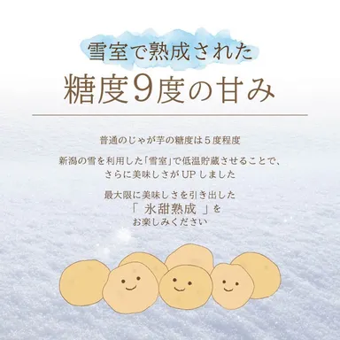 じゃが芋の糖度について