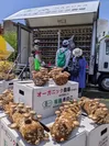 有機JAS菌床キノコの収穫体験の実例(2023年5月3日、ロハスフェスタ万博春)
