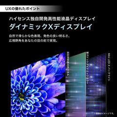 ダイナミックXディスプレイ