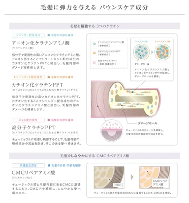 毛髪に弾力を与える バウンスケア成分