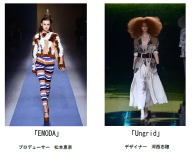 コレクションの様子