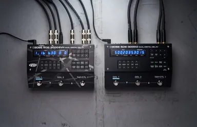 『SDE-3000EVH』(左)と『SDE-3000D』(右)