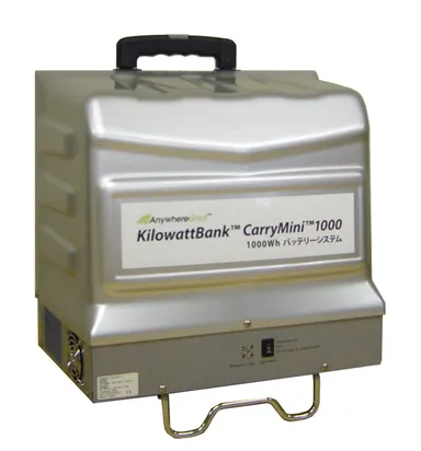 キャリーミニ概観