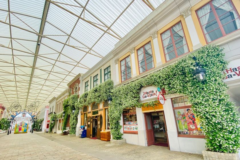 【志摩スペイン村】スタージャスミン、もうすぐ満開です!!