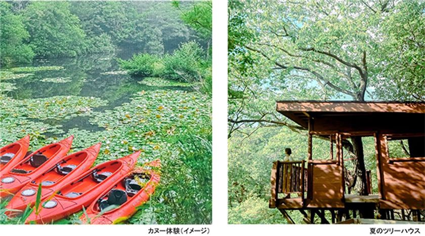 ROKKO森の音ミュージアム 夏イベント
SIKIガーデンフェス2023 開催
2023年7月15日（土）～17日（月・祝）