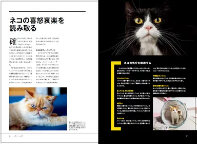 『ネコ全史 君たちはなぜそんなに愛されるのか』中面