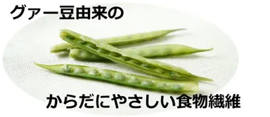 グアーガム分解物とは