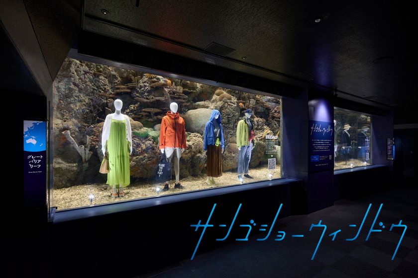 海遊館「サンゴショーウィンドウ」
5/12～14の3日間限定で開催