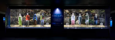 サンゴショーウィンドウ