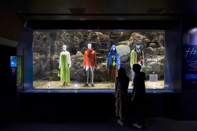 サンゴショーウィンドウ