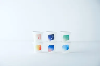 6日間三朝ヨーグルト生活セット