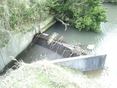 監視カメラ画像