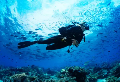 サウジアラビアの紅海でのダイビングイメージ