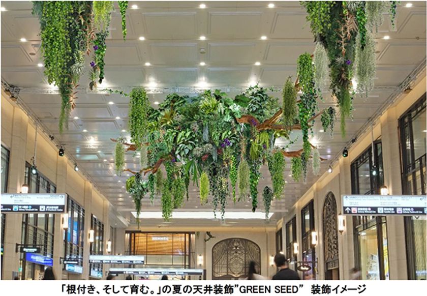 大阪梅田ツインタワーズ・ノース1階 南北コンコース
夏の天井装飾“GREEN SEED” テーマは「根付き、そして育む。」
6月9日（金）～7月24日（月）の46日間で実施します