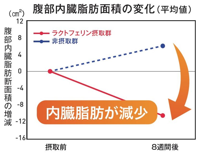 ラクトフェリン     内臓脂肪減少